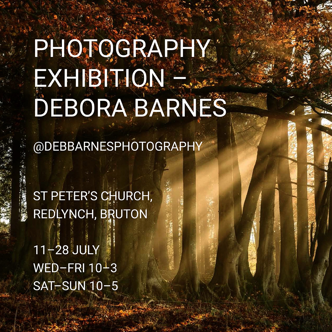 Debora Barnes Exhibition